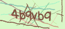 Проверочный код